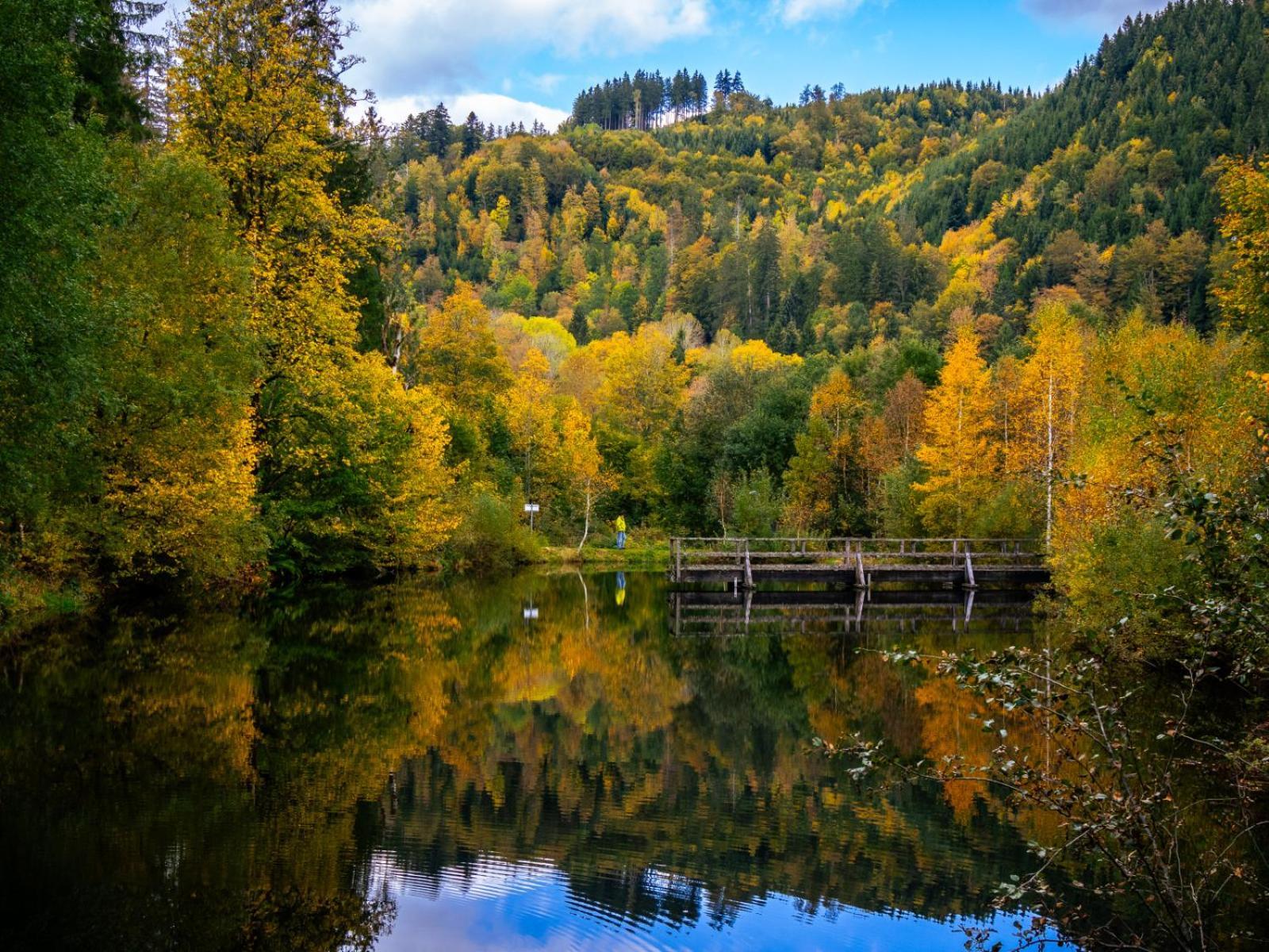 Landhaus Panoramablick Schonach im Schwarzwald Exterior foto